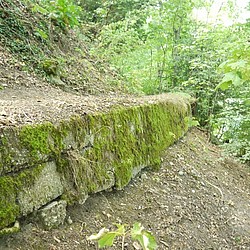 Sanierung Englische Anlagen Bern